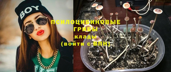 ALPHA PVP Беломорск