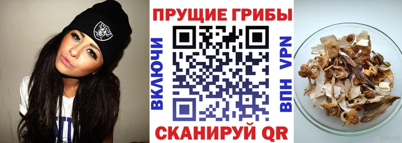 Галлюциногенные грибы мухоморы  Кувандык 