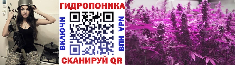 кракен ССЫЛКА  купить наркотик  Кувандык  Бошки марихуана MAZAR 
